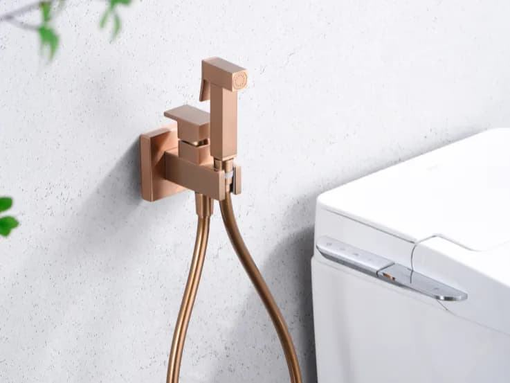 Imagen descriptiva 11